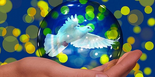 Hilfsorganisationen und soziale Projekte