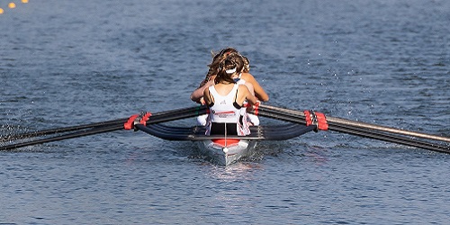 Vereine und Verbände
